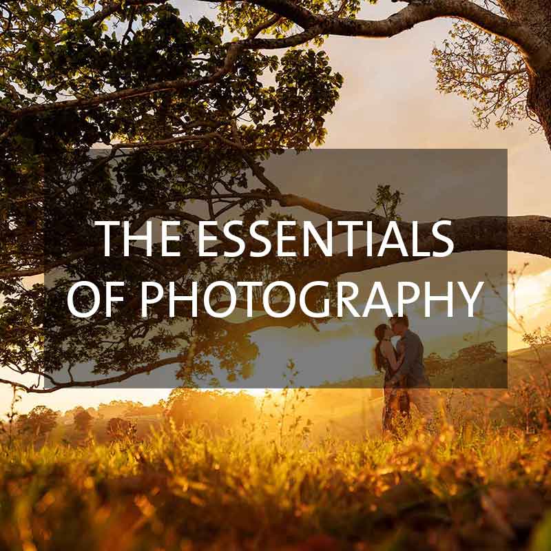 The Essentials of Photography